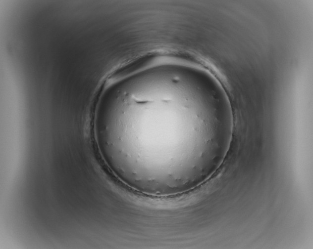 X0000113530010200909250915