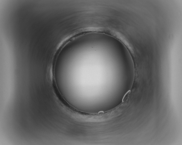 X0000113530011200909250915