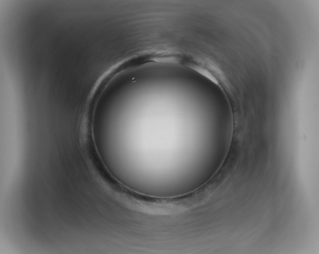 X0000113530012200909250915