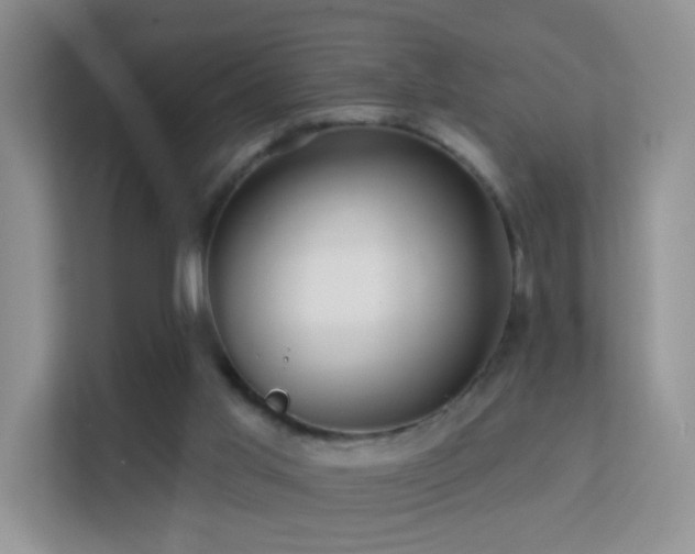 X0000113530013200909250915