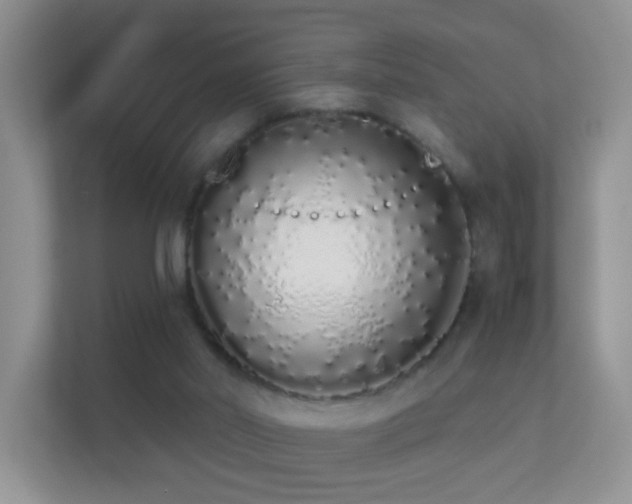 X0000113530014200909250915