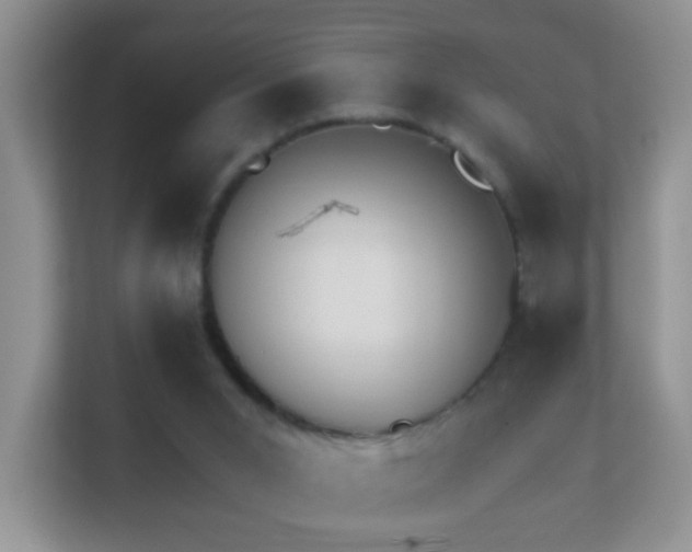 X0000113530015200909250915