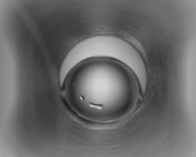 X0000113530017200909250915