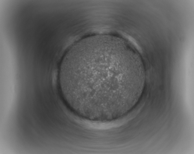 X0000113530018200909250915