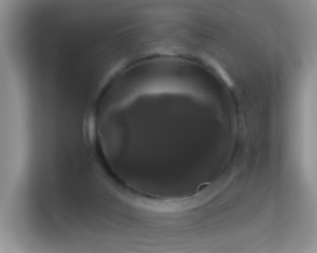 X0000113530019200909250915