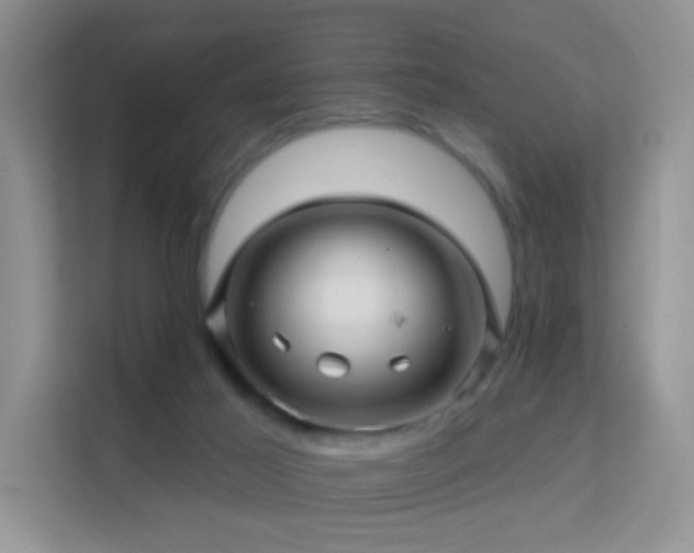 X0000113530021200909250915