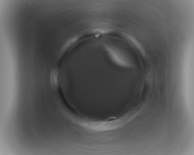 X0000113530023200909250915