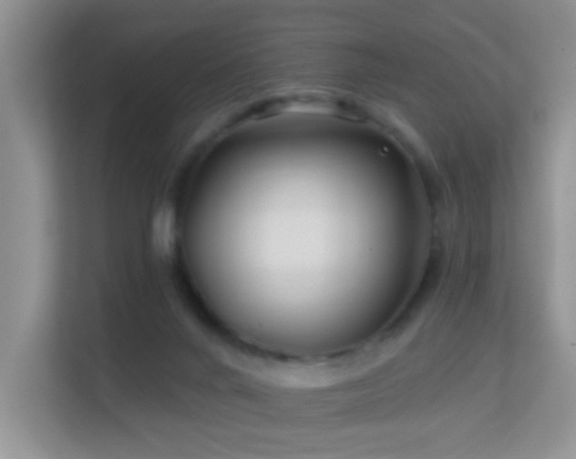 X0000113530024200909250915