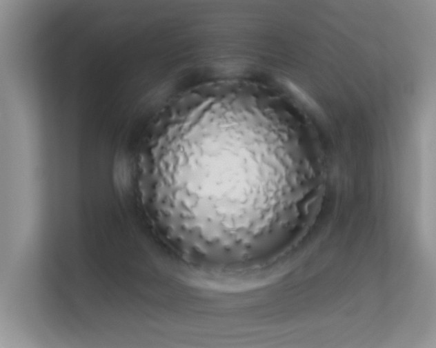 X0000113530026200909250915