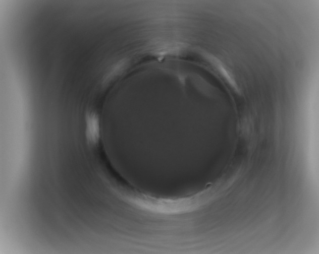 X0000113530027200909250915