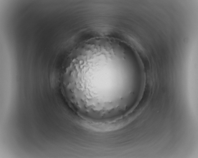 X0000113530030200909250915