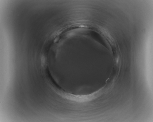 X0000113530031200909250915