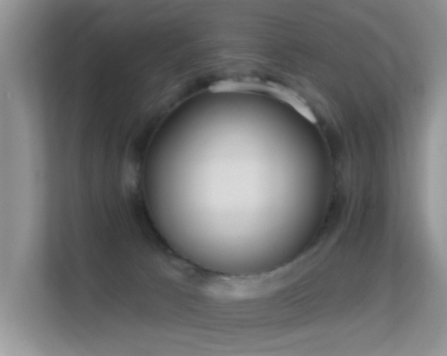 X0000113530033200909250915