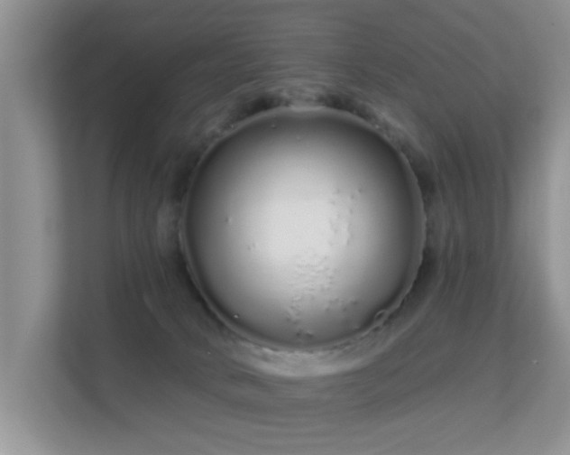 X0000113530034200909250915