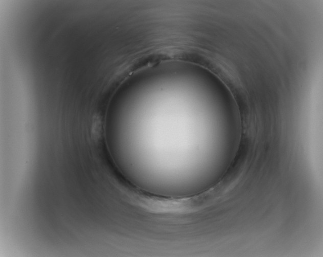 X0000113530036200909250915