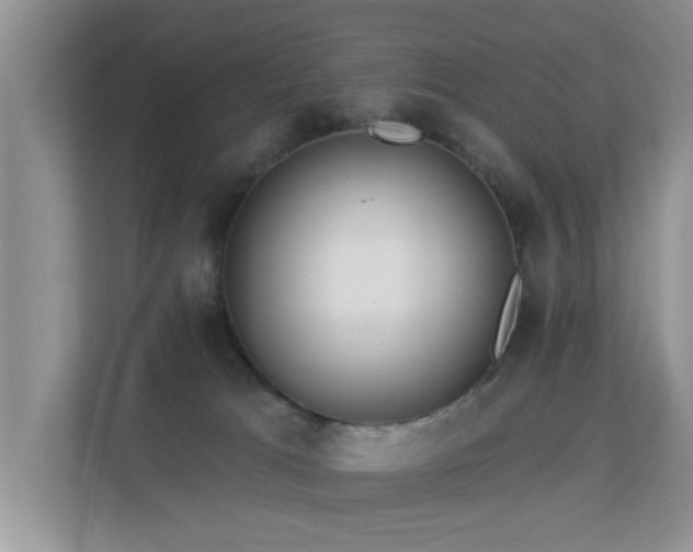 X0000113530037200909250915