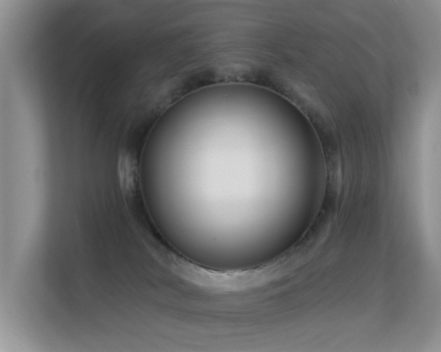 X0000113530038200909250915