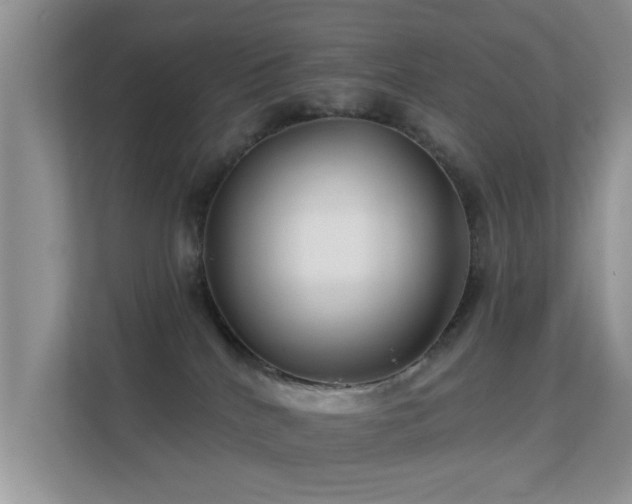 X0000113530040200909250915