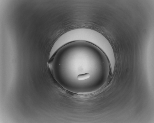 X0000113530041200909250914