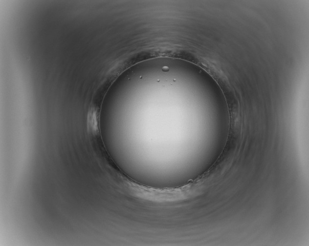 X0000113530042200909250914