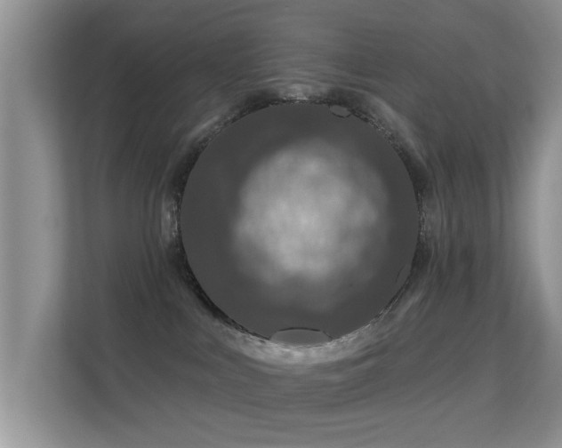 X0000113530043200909250914