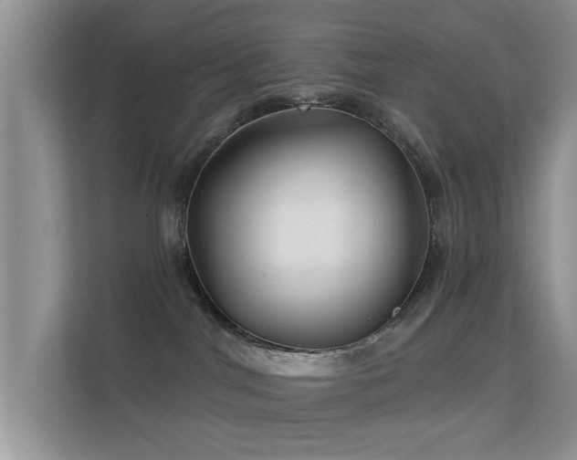 X0000113530044200909250914