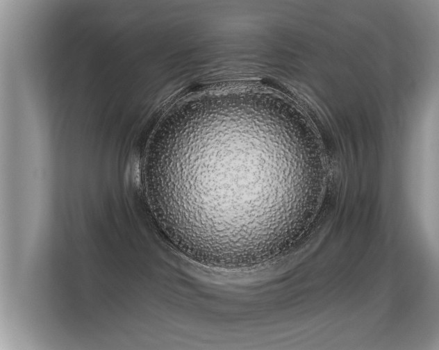 X0000113530046200909250914