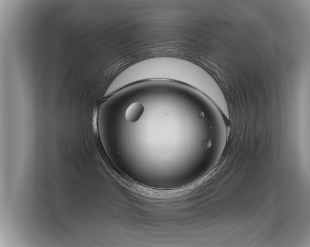 X0000113530047200909250914