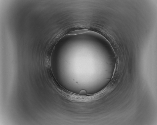 X0000113530048200909250914