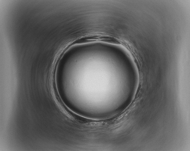 X0000113530049200909250914