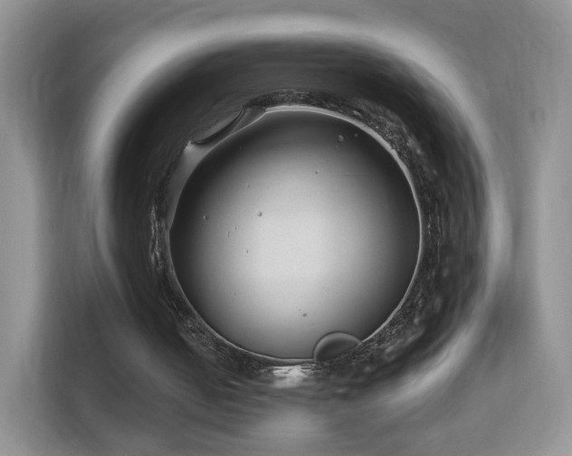 X0000113530050200909250914