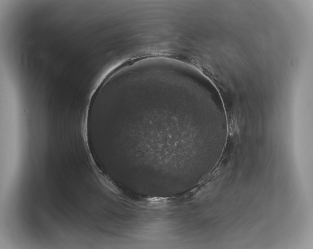 X0000113530052200909250914