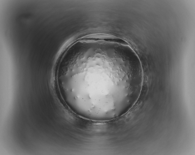 X0000113530053200909250914