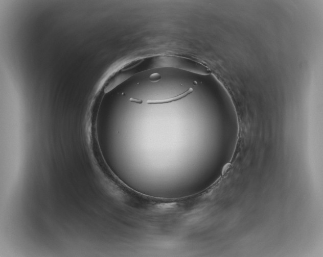 X0000113530054200909250914