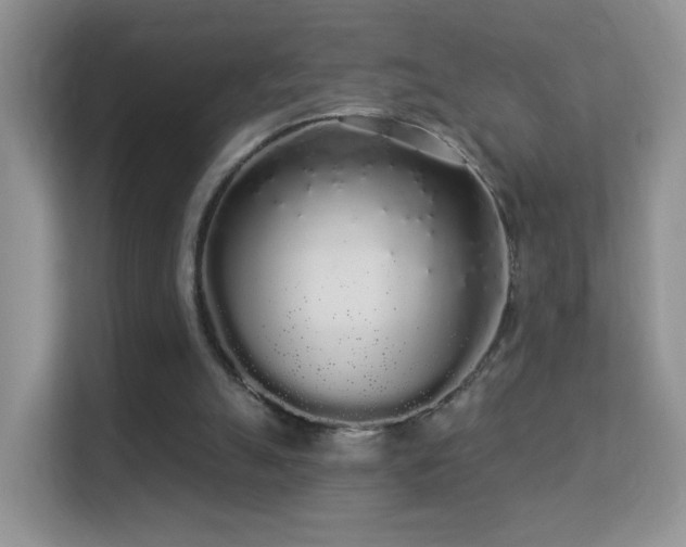 X0000113530055200909250914