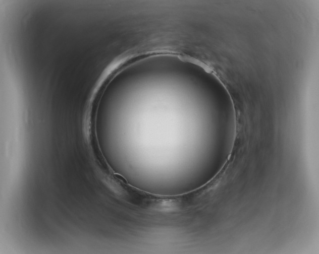 X0000113530056200909250914