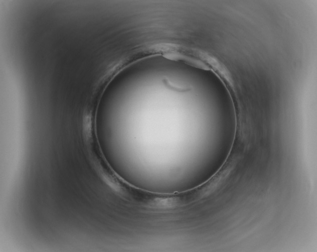 X0000113530057200909250914