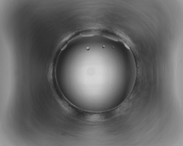 X0000113530058200909250914