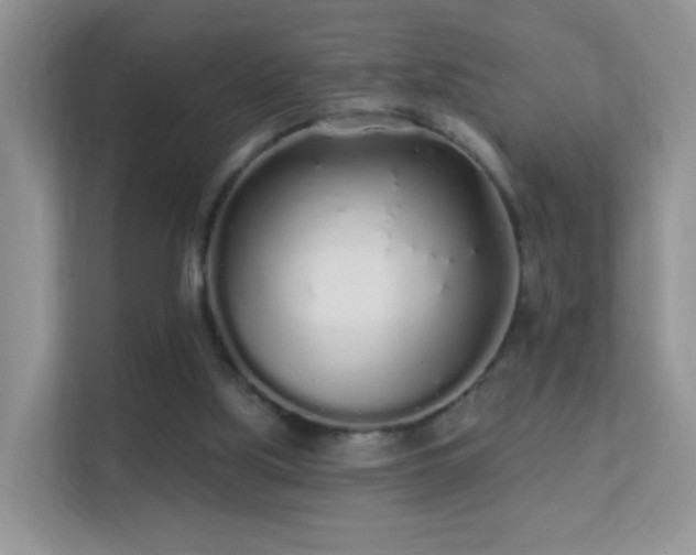 X0000113530059200909250914