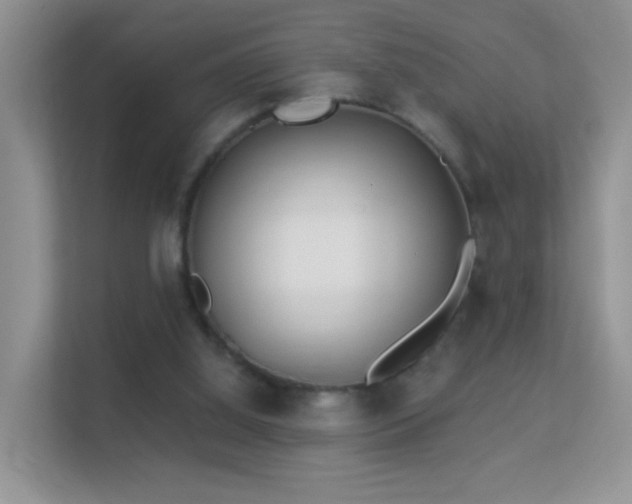 X0000113530060200909250914