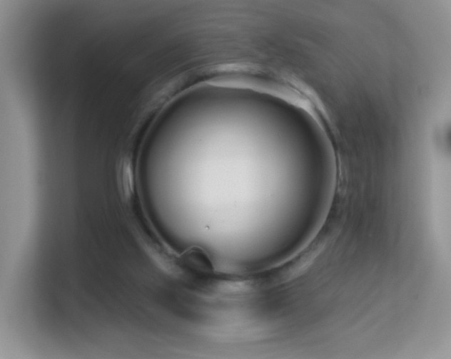 X0000113530061200909250914