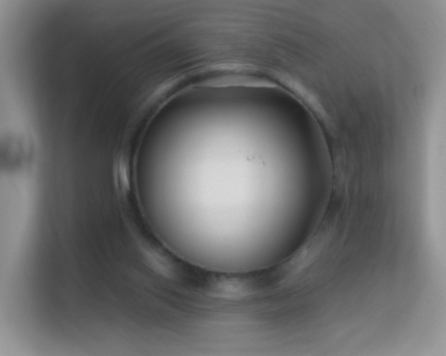 X0000113530062200909250914