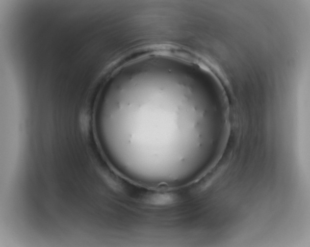 X0000113530063200909250914