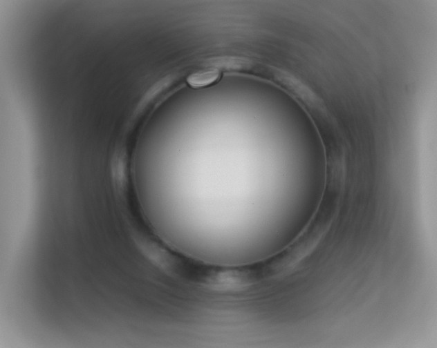 X0000113530064200909250914