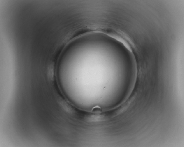 X0000113530065200909250914