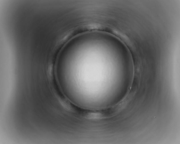 X0000113530066200909250914