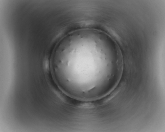 X0000113530067200909250914