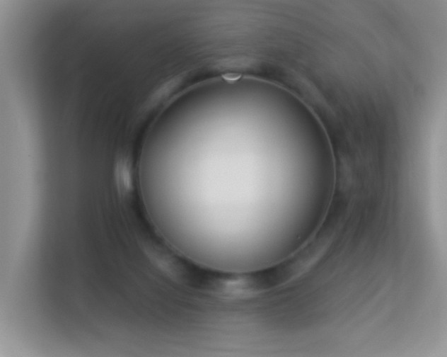 X0000113530068200909250914