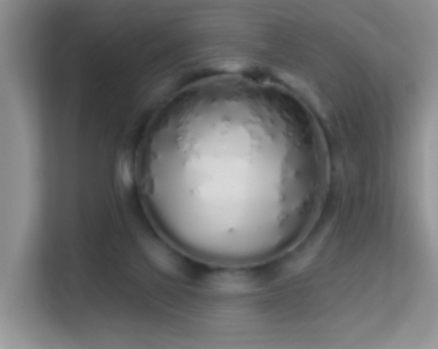 X0000113530069200909250914