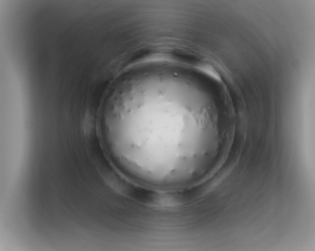 X0000113530073200909250914